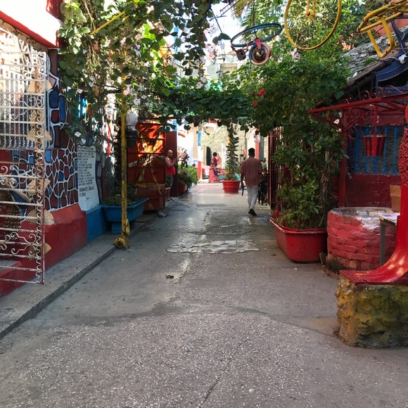 Meet your Posher, Marley - Picture 11 of 11